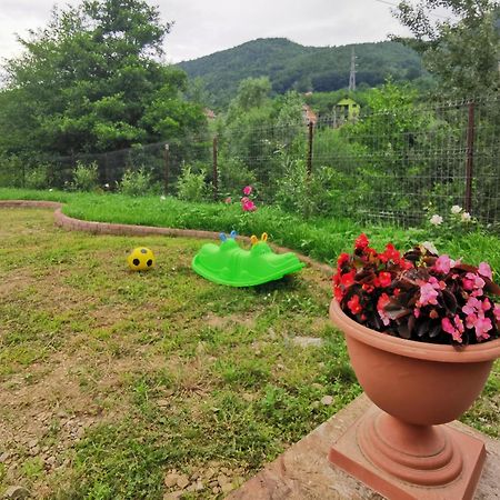 Casa Vio Guest House Nehoiu Bagian luar foto