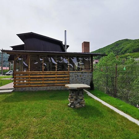 Casa Vio Guest House Nehoiu Bagian luar foto