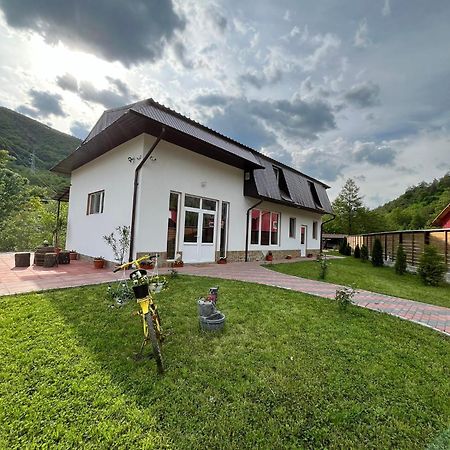 Casa Vio Guest House Nehoiu Bagian luar foto