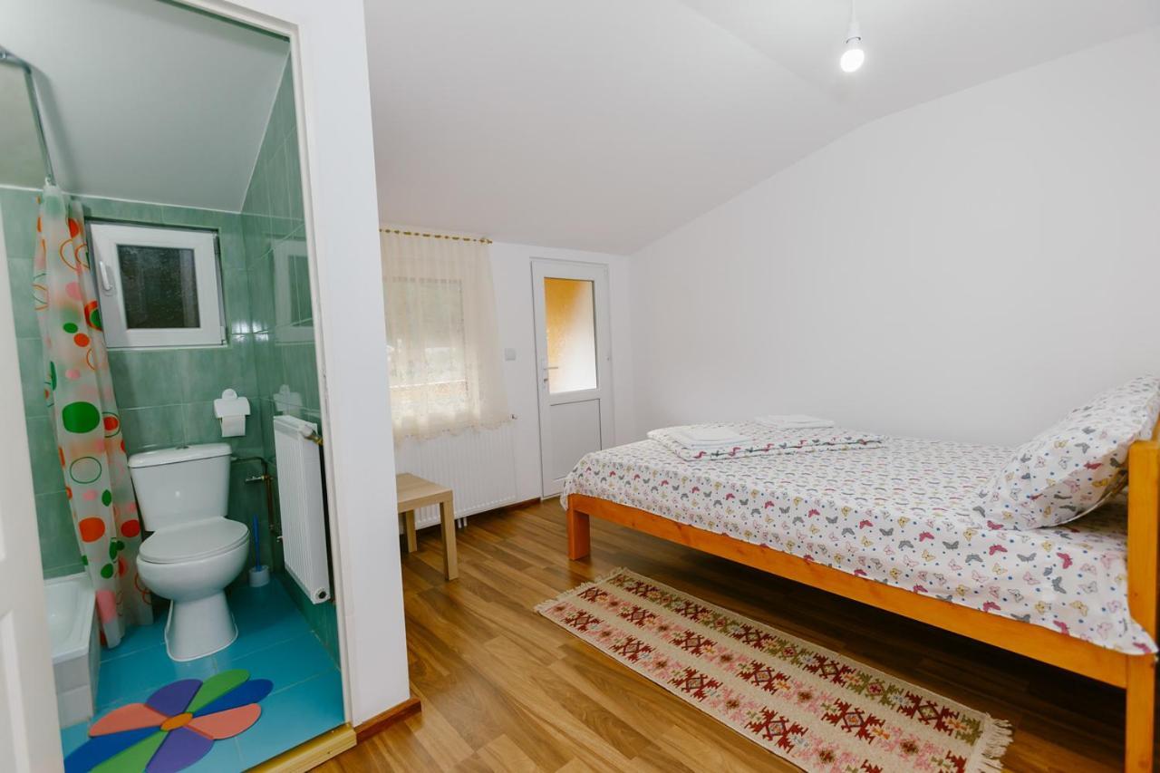Casa Vio Guest House Nehoiu Bagian luar foto