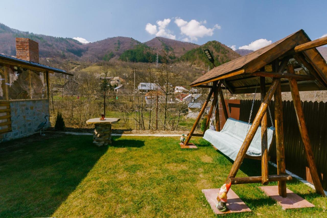 Casa Vio Guest House Nehoiu Bagian luar foto