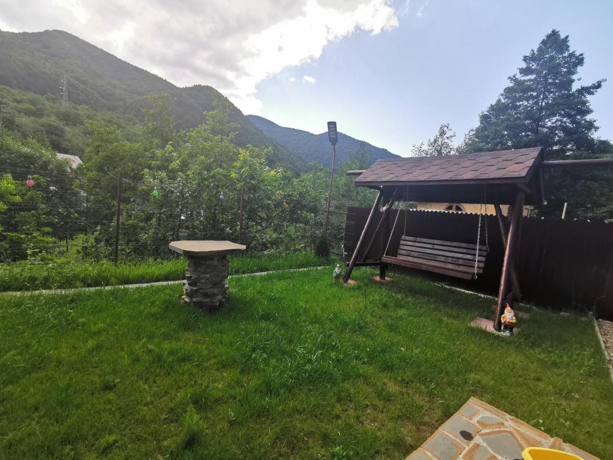 Casa Vio Guest House Nehoiu Bagian luar foto