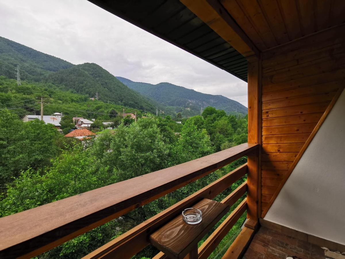 Casa Vio Guest House Nehoiu Bagian luar foto