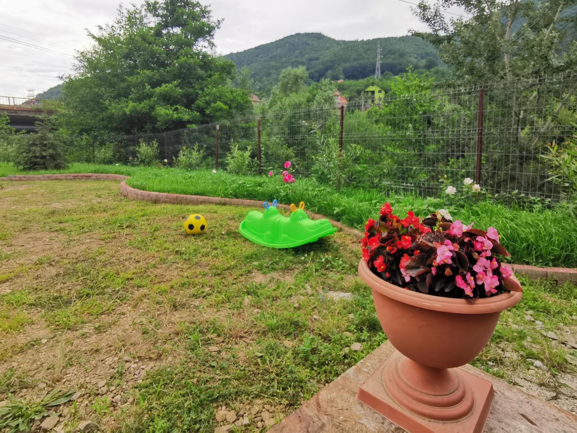 Casa Vio Guest House Nehoiu Bagian luar foto