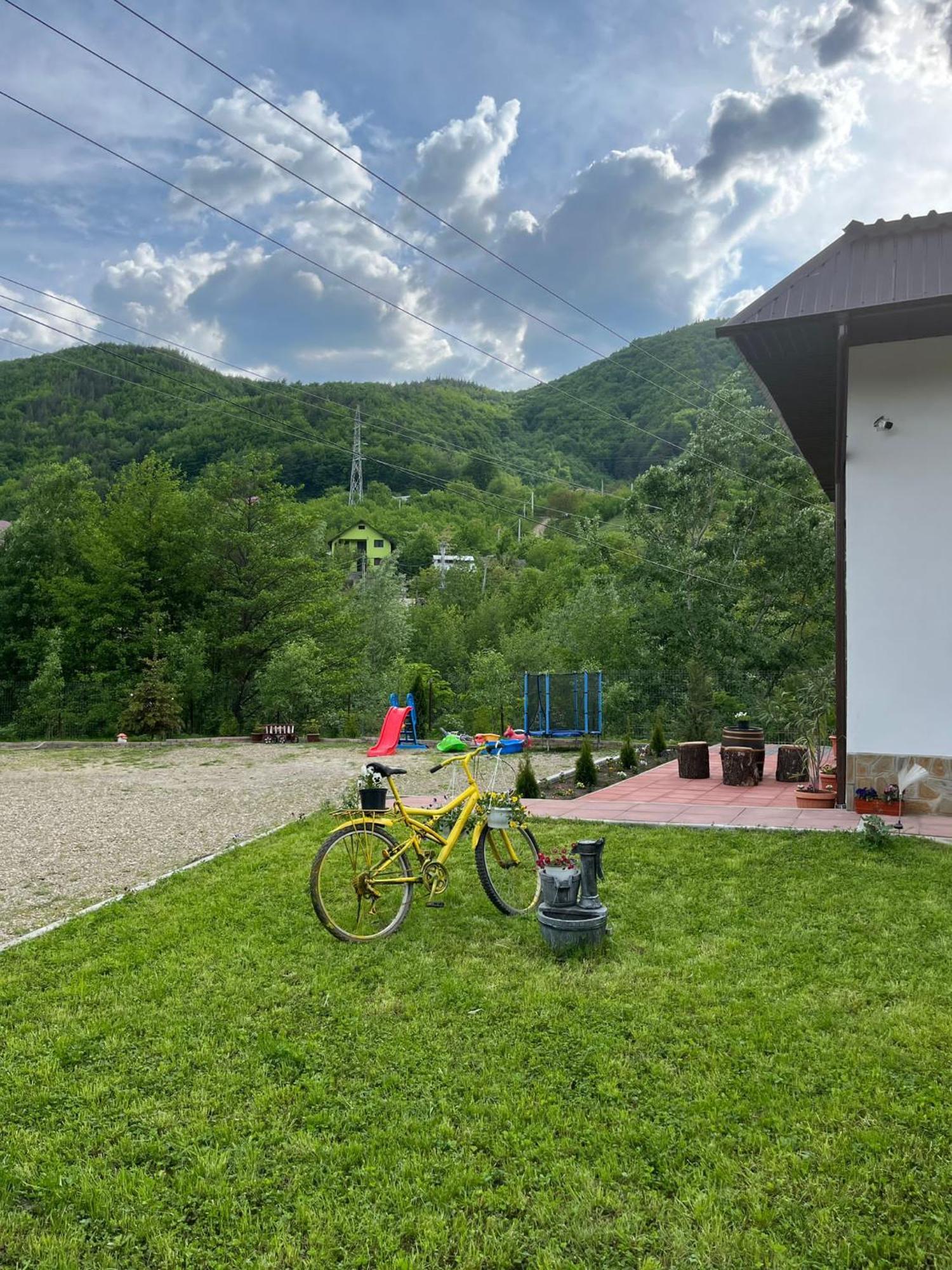 Casa Vio Guest House Nehoiu Bagian luar foto