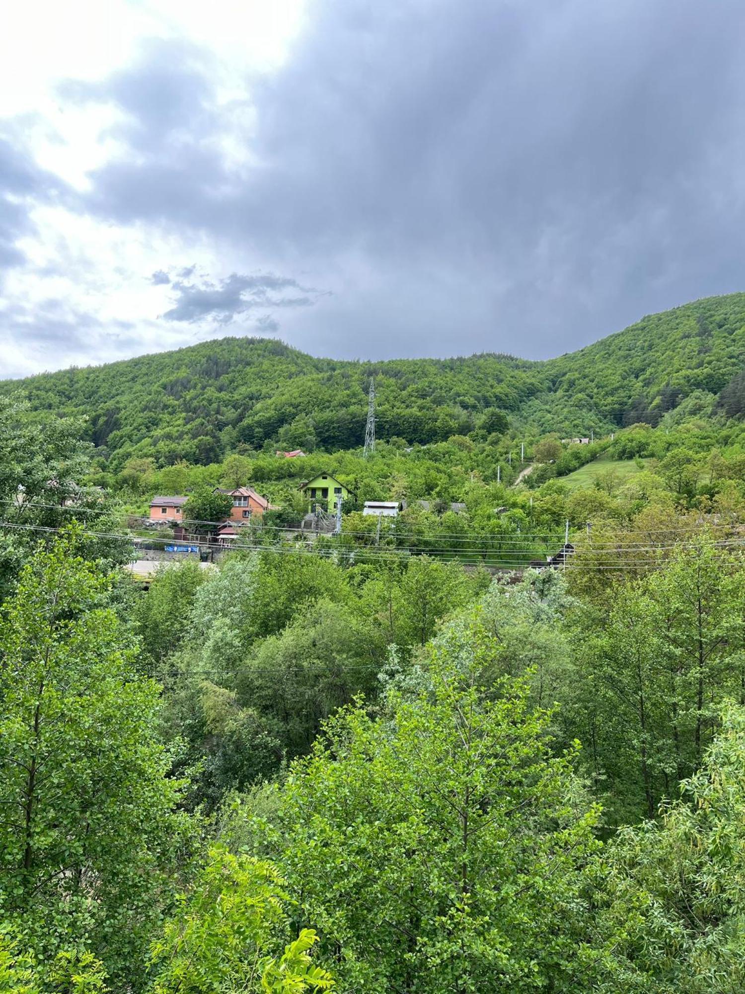 Casa Vio Guest House Nehoiu Bagian luar foto