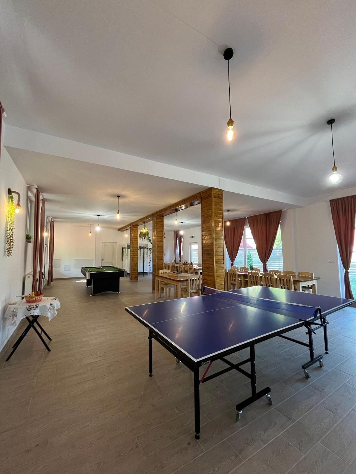 Casa Vio Guest House Nehoiu Bagian luar foto
