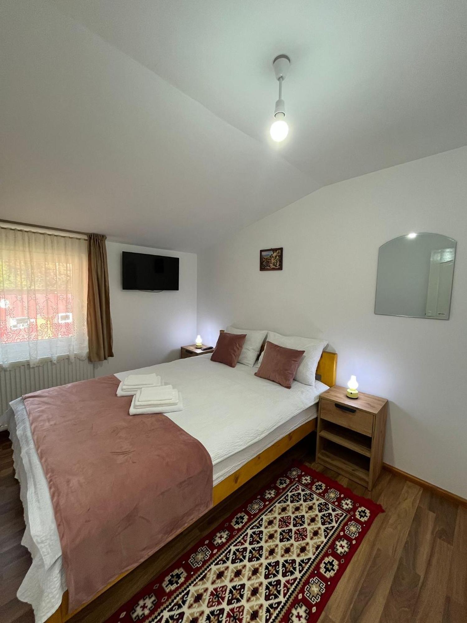 Casa Vio Guest House Nehoiu Bagian luar foto