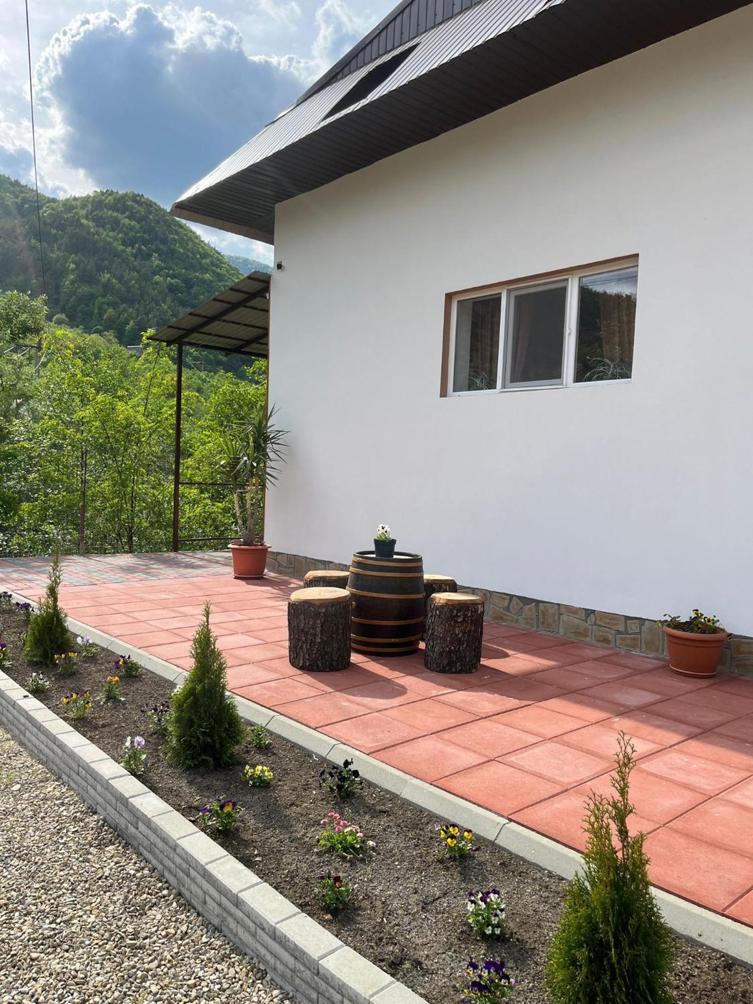 Casa Vio Guest House Nehoiu Bagian luar foto