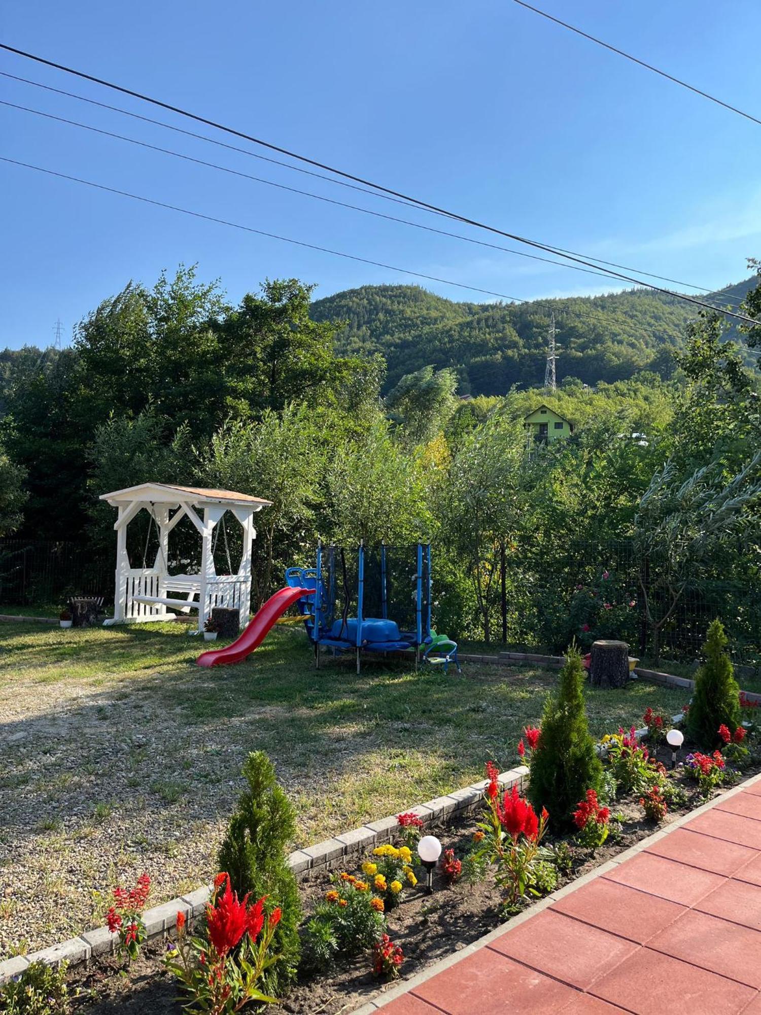 Casa Vio Guest House Nehoiu Bagian luar foto