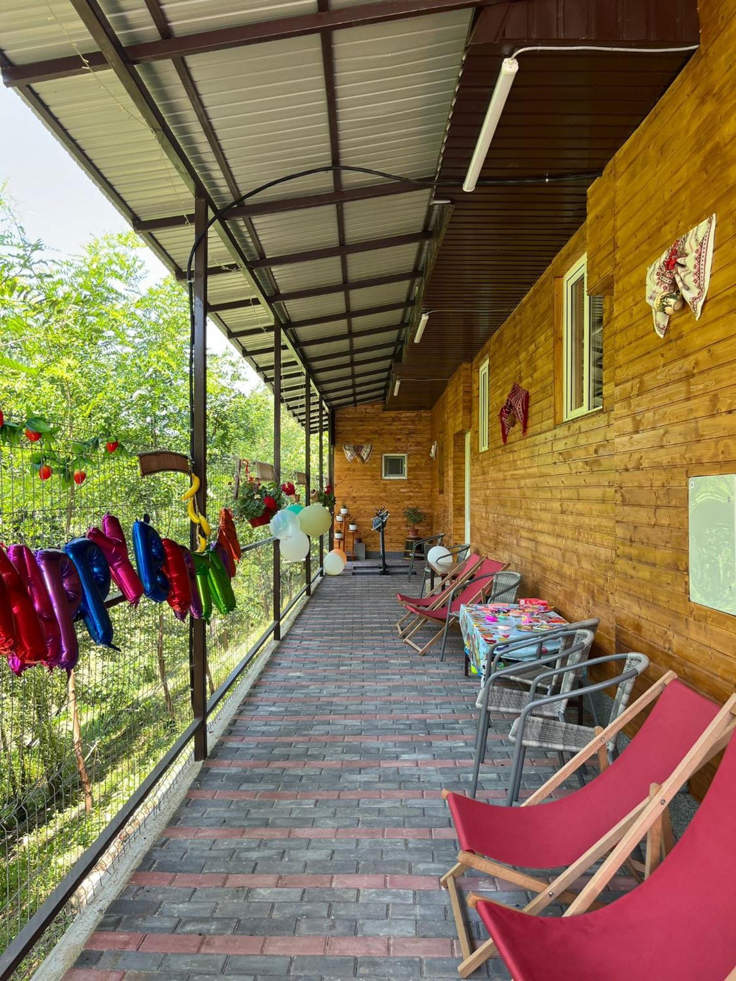 Casa Vio Guest House Nehoiu Bagian luar foto