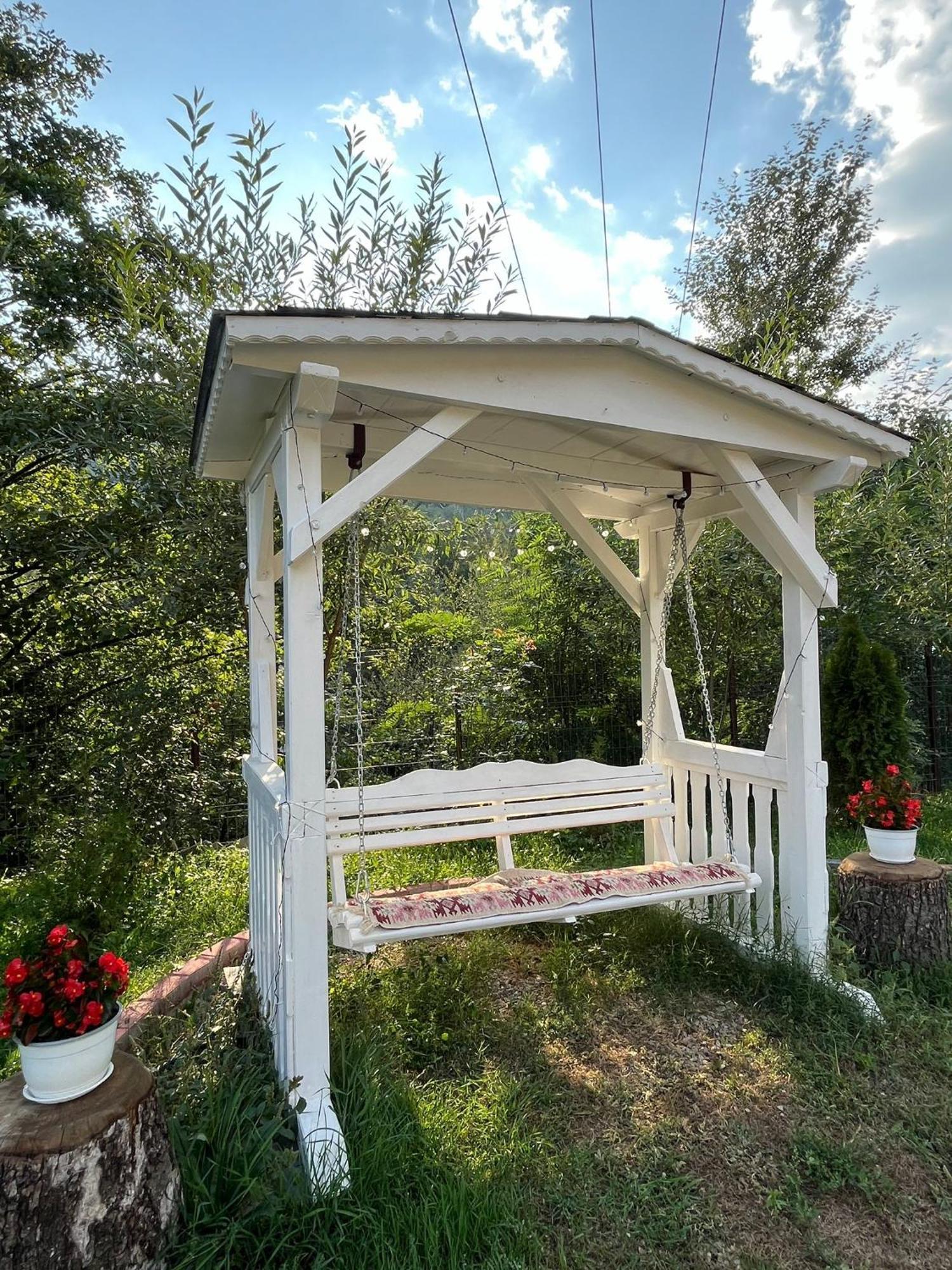 Casa Vio Guest House Nehoiu Bagian luar foto
