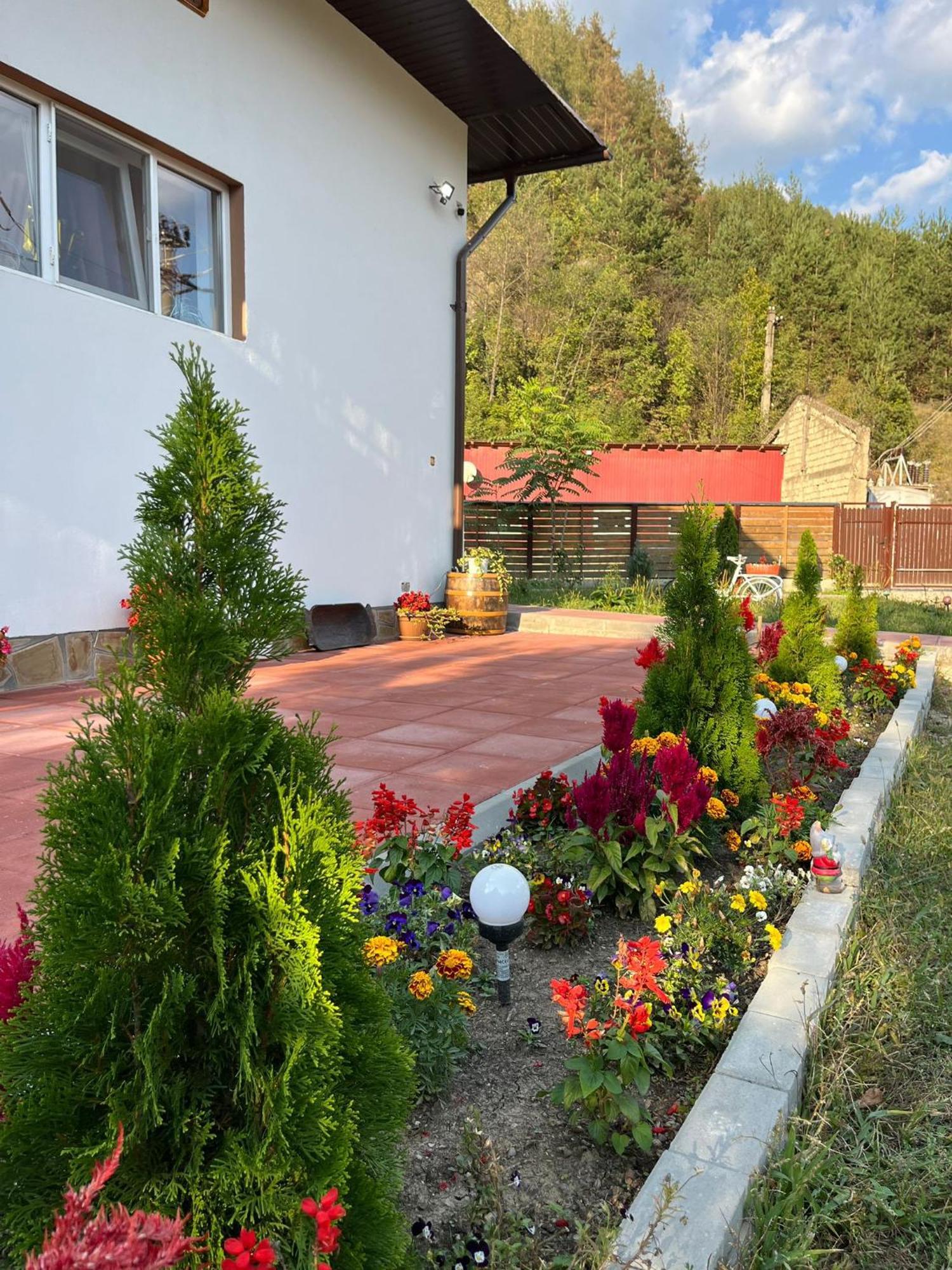 Casa Vio Guest House Nehoiu Bagian luar foto